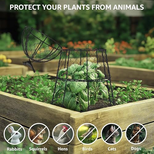 Garden Cloches for Plants, Large Plant Protectors from Animals, Pack 10 - size: Pack of 10