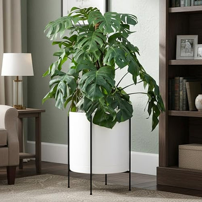 D'vine Dev Plastic Planter Pot with Metal Stand, White, 16 in, 55-D-A-5 - color: White, size: 16 Inch