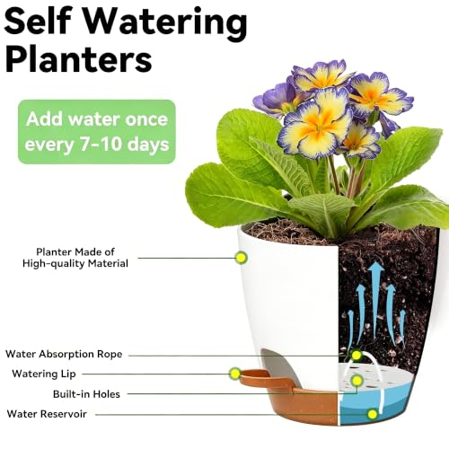 6-Pack Self Watering Pots for Indoor Plants, White - color: White