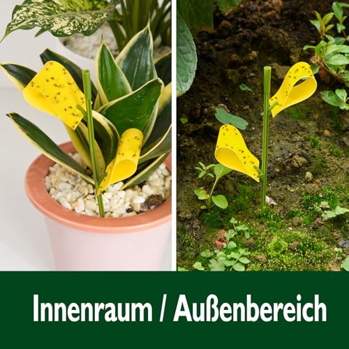 Garsum 84 Traps Sticky Houseplant Traps Gnat Yellow Insect Trap Indoor Fruit Fly Stakes Trap - color: 84 PCS