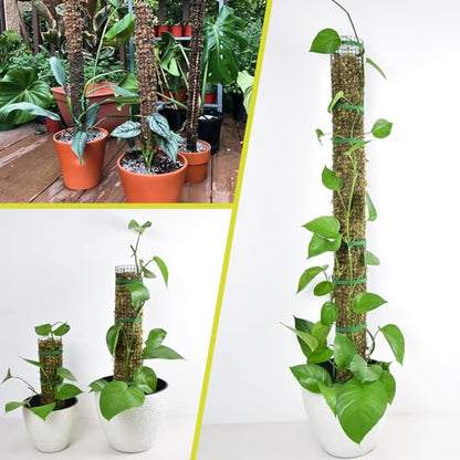 6 Pack Metal Moss Pole, 15" Moss Poles for Plants Monstera, Stackable Sphagnum Moss Pole for Climbing Plants (6 Pack 15") - color: 6 Pack 15"