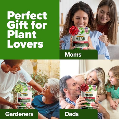 HOME GROWN 10 Herb Variety Pack 3000+ Seeds Extra Large Culinary Kit