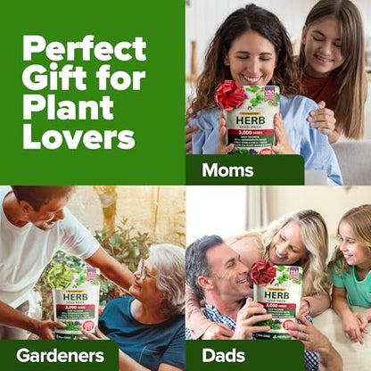 HOME GROWN 10 Herb Variety Pack 3000+ Seeds Extra Large Culinary Kit