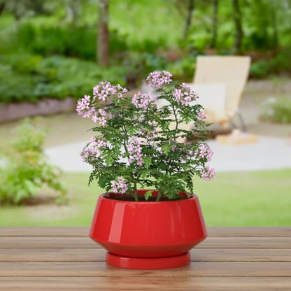 10 Inch Red Ceramic Planter with Drainage Hole and Saucer - color: Red, size: Large