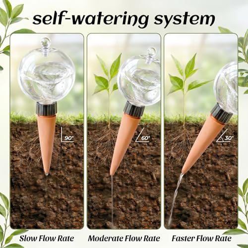 2 Pack 26 oz Extra Large Plant Self Watering Globes to 3 Weeks Watering - size: 2 pack