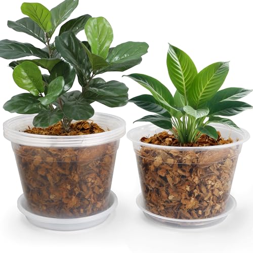 8 Inch Clear Nursery Pots with Drainage and Saucers, 5 Pack Large Clear Plastic Nursery Pots for Plants, Seedling Plant Pots for Repotting and Growing Plants, Flowers & Vegetables(8 inch) - size: 8 inch-5pcs