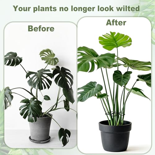 4PCS Metal Heart Stakes for Indoor Plants, 4.1 * 3.7 in Stackable Monstera Stem Support Hook for Growth, Stabilizer for Leaves & Adjustable Clamp Set Accessories for Climbing Plants (Heat) - style: C 4.1 * 3.7 in