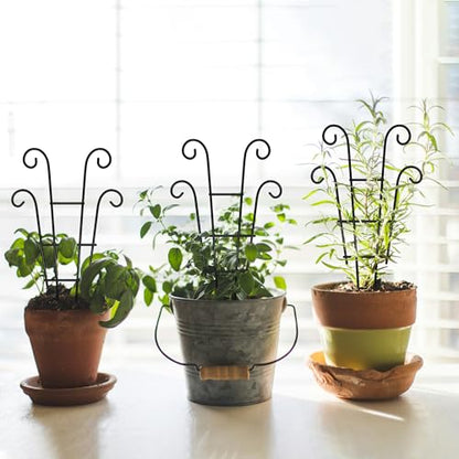 Coomin 14.5in Small Plant Trellis for Climbing Plants Indoor, 2P - size: 14.5in/4P