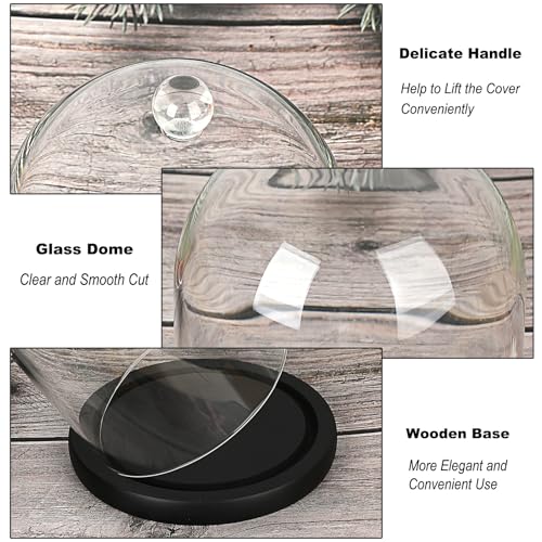 JUXYES 4.5x6 Clear Glass Display Dome Cloche with Handle & Black Wood Base - color: Black