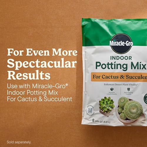 Miracle-Gro Indoor Plant Food for Cactus & Succulent, 8 fl. oz. (2-Pack) - style: Cactus & Succulent