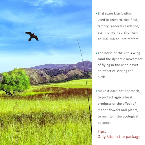 eyijklzo Bird Scarer Hawk Flying Kite Without 13ft Pole-Only Black Kite - style: Black-Only kite