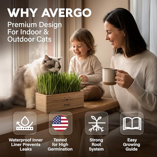 Cat Grass Kit for Indoor Cats – x4 Seed Packets