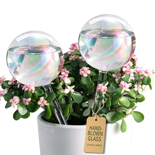 Soilagua Large Rainbow Plant Watering Globes, Extra-Thick Glass, 2 Pack - size: Large – 2 Pack