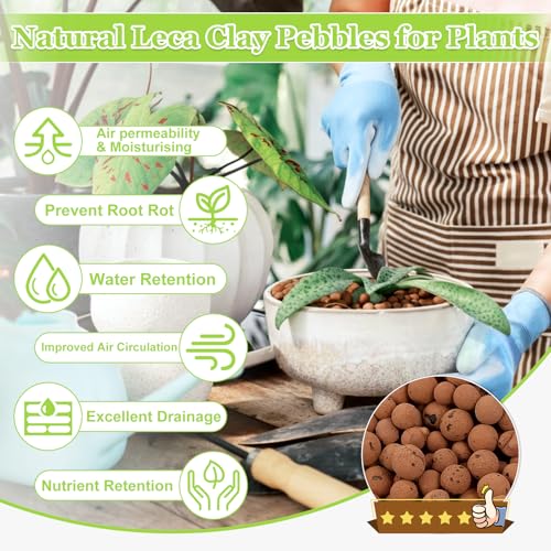 4LB Organic Leca Clay Pebbles for Plants, 4-16mm Natural Leca Balls - size: 4LB