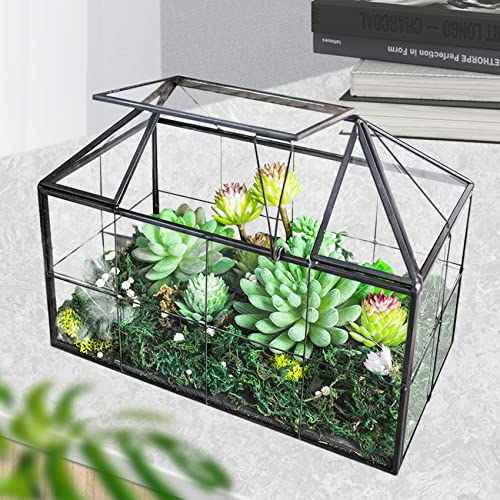 Ferrisland Glass Geometric Plant Terrarium, Clear Glass Succulent - size: 9.1" L x 5.4" W x 7.3" H