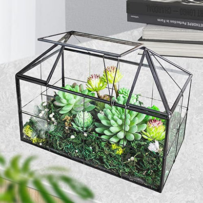 Ferrisland Glass Geometric Plant Terrarium, Clear Glass Succulent - size: 9.1" L x 5.4" W x 7.3" H