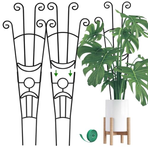Coomin 32.6in Monstera Plant Support Trellis for Indoor Plants, 2P - size: 32in,rectangular/2p