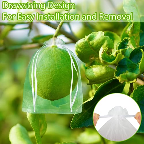 Morcheiong 60pcs Reusable Netting Mesh Bags - 6" x 8", Garden Fruit Protection with Drawstring (White) (Pack of 2) - color: White, size: 60Pcs 6" x 8" (Pack of 2)