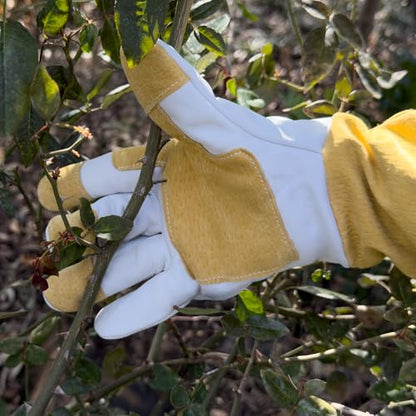 OGRE Zip-Up Rose Pruning Gloves, Long Leather Thorn Protection - size: X-Small
