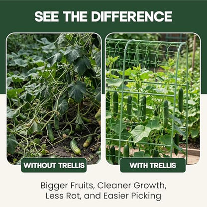 50x50 Cucumber Trellis for Raised Bed- A Frame Vegetable Garden Trellis