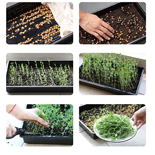 Mr. Pen- Seed Starter Trays, 5 Pack, 17"x10"x2.4" - color: Black, size: 5 Pack