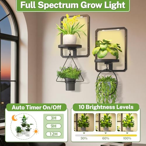 iDavosic.ly Wall Plant Picture Frame Holder Set of 2 & 2 Grow Lights, Black - color: Black with 2 Lights, size: Rectangular