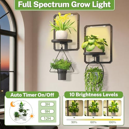 iDavosic.ly Wall Plant Picture Frame Holder Set of 2 & 2 Grow Lights, Black - color: Black with 2 Lights, size: Rectangular