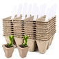 120 Cells Seed Starter Tray Kit, Organic Germination Seedling 10 Pack