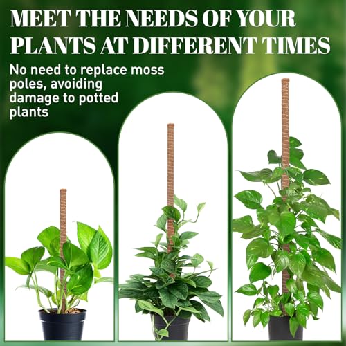 54 Inch Moss Pole, for Climbing Plants Indoor