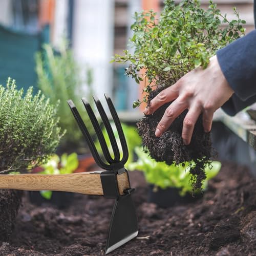 Hoe Garden Tool, Japanese Weeding Hoe