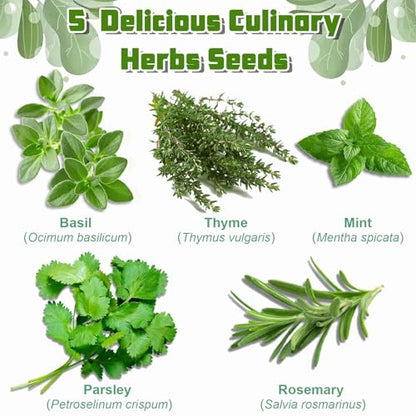 Indoor Herb Garden Starter Kit, Including A Complete Gardening Tools for Women Parents Gift