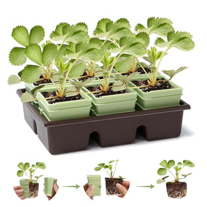 Side-Open Seed Starter Tray 4-Pack, 24 Cells Modular Design with Detachable Plant Cells, Extra-Large 2.36"x2.28" Cells, Reusable Seed Germination Kit for Indoor & Outdoor Gardening
