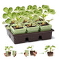 Side-Open Seed Starter Tray 4-Pack, 24 Cells Modular Design with Detachable Plant Cells, Extra-Large 2.36"x2.28" Cells, Reusable Seed Germination Kit for Indoor & Outdoor Gardening