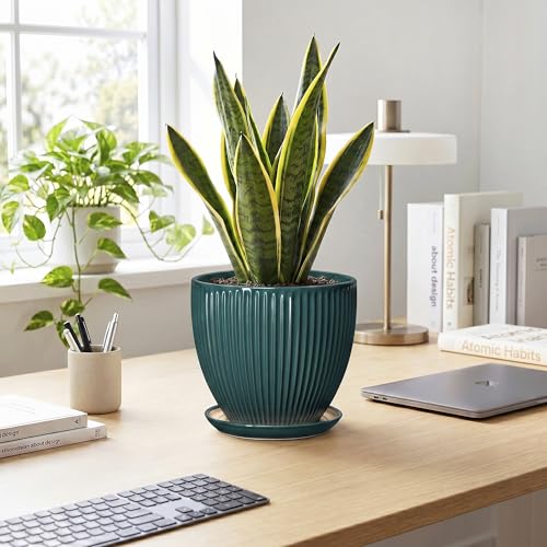 Ceramic Planter, 8 Inch Plant Pots with Saucer, Blackish Green - color: Blackish Green, size: 8 Inch