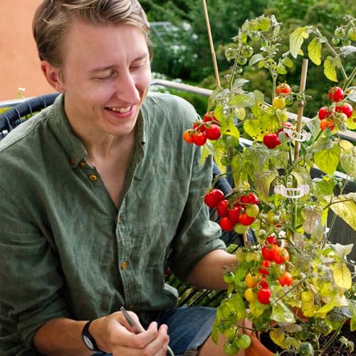 Tomato Clips for Climbing Plants 100 Pack Clear Reusable Plastic