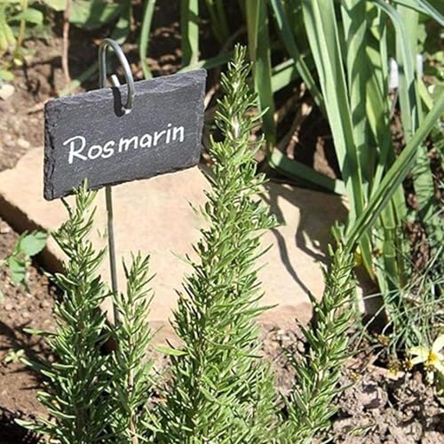20Pcs Silver Planter Plant Label Hooks Garden Markers Stake Label Holder Hanger Garden Plant Sign Stake Rustproof Deformed Sign Hooks Container Accessories (20cm)