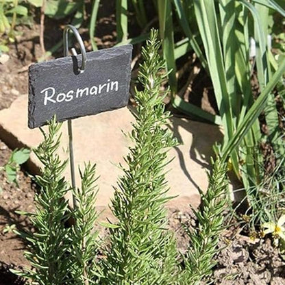 20Pcs Silver Planter Plant Label Hooks Garden Markers Stake Label Holder Hanger Garden Plant Sign Stake Rustproof Deformed Sign Hooks Container Accessories (20cm)