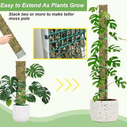 60"/40"/24" Metal Moss Pole, D Shape Sphagnum Moss Pole, Moss Poles for Climbing Plants, Monstera, Indoor Climbing Plants (6Pcs 40") - style: 6Pcs 40"