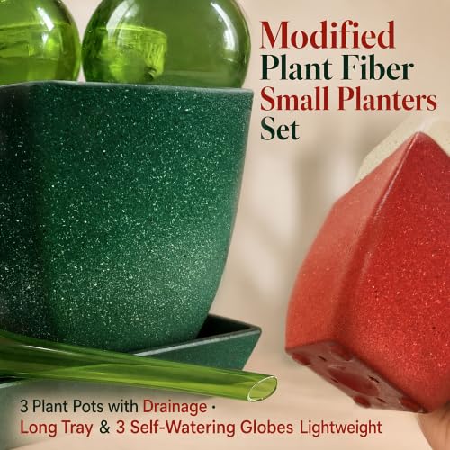 3.5" Christmas Succulent Pots, Plant Pots with Drainage Trays - color: Red,white,green