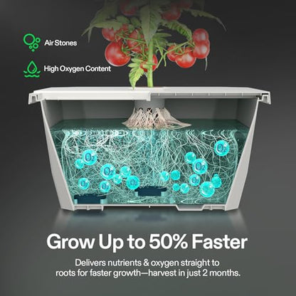 VIVOSUN VGrow DWC Hydroponics System Kit, Only for VGrow Smart Grow Box, Not Compatible with E42A/E42A+/A22/A10，Not Used in Grow Tent, 4-Gallon with Air Stones & Rapid Rooters