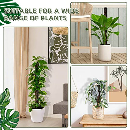 Small Moss Pole for Monstera - Stackable & Refillable Plastic Moss Poles for Climbing Plants with Large Mesh Design (4Pack-Black-Small) - size: 4Pack-Black-Small
