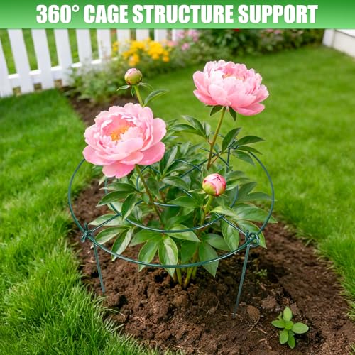 8 Pack Peony Cages and Supports, 16.5 x 20 Inch Plant Support Cage Set - size: 8 Pack- 16.5*20"