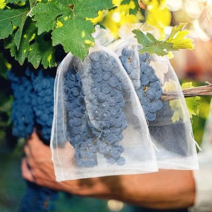 50 Pcs Fruit Protection Bags, 10×14 in Mesh Cover Nets for Tree, White - color: White, size: 10×14 in
