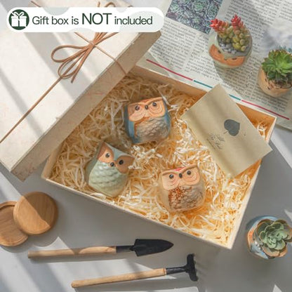 T4U Owl Succulent Pots, Mini Ceramic Gift Pots with Drainage, Retro 6 Pack - color: Owl, size: Pack of 6