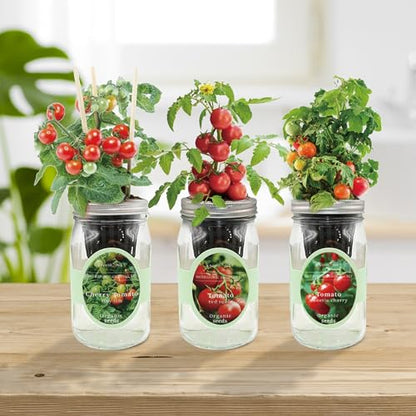 Hydroponic Mason Jar Indoor Garden Organic Seed Starter Kits - Tomato Trio Garden Growing Kits, Gardening Gift (Red Robin Tomato, Cherry Tomato - Tiny Tim, Sweetie Cherry Tomato) - color: Tomato Trio Garden Kits
