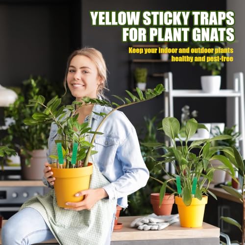 36 Pcs Green Sticky Traps for Plant Gnats, Fungus Gnat Trap (4" x 1") - color: Green