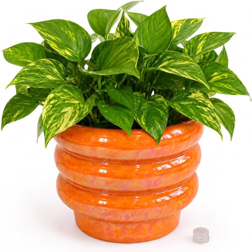 6 Inch Ceramic Plant Pots for Indoor Plants, Planter with Drainage - color: Orange, size: 6 Inch (Single)