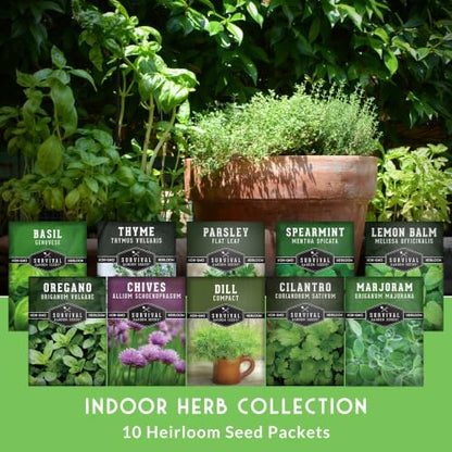Indoor Herb Seeds Variety Pack - 10 Herbs for Planting