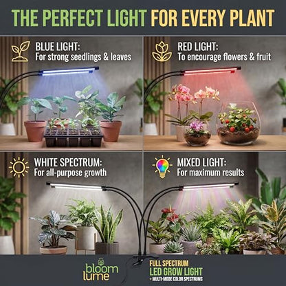 Bloom Lume LED Grow Lights for Indoor Plants Full Spectrum 6000K - Plant Grow Lights Indoor Features Multi Mode Color Spectrums (Red, White & Blue), Dimmable, Auto Timer, Clip on Gooseneck Plant Lamp