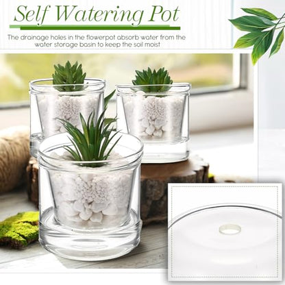 Baderke 2 Pcs 4 Inch Self Watering Pot for Indoor Plants Clear Glass Planter Small Plant Pot with Saucer Reservoir Drainage Holes Bottom Watering Pot for African Violet Orchid Flowers Houseplant - style: /